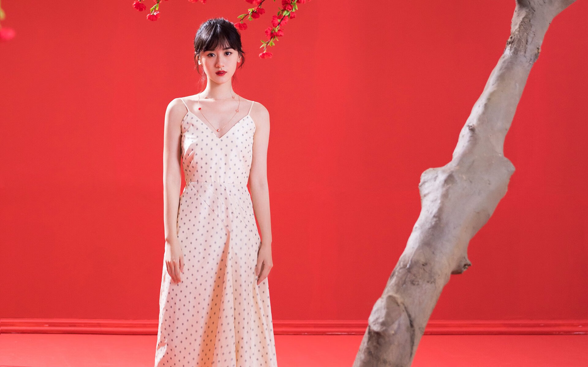 IM体育官网入口-加克波一锤定音，奥地利战术革新终结波兰出线希望