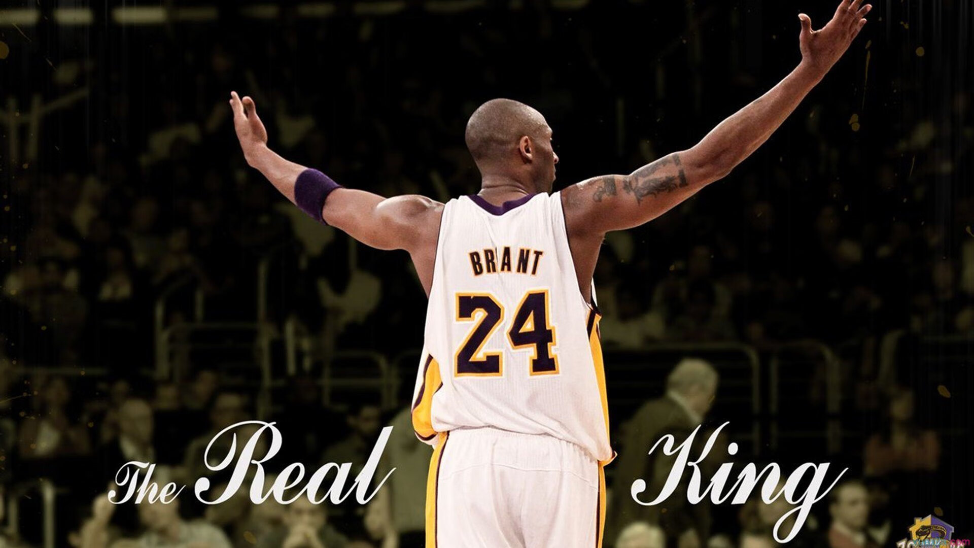 IM体育赛事直播入口-森林狼对阵掘金赛后，西亚卡姆评分拉满，展现全能锋线统治力